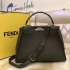 Fendi Bag 024